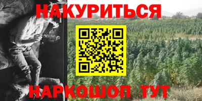 стаф Канаш