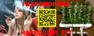 стаф Канаш