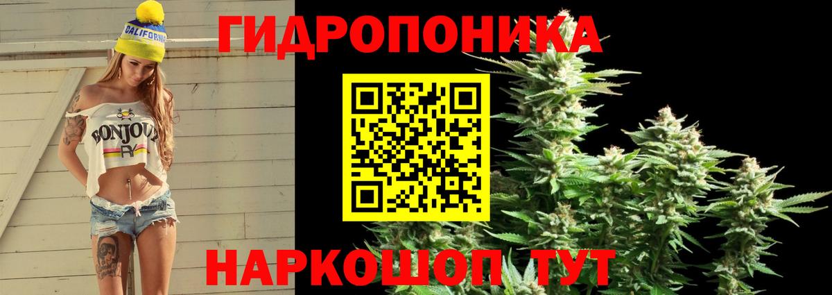 Бошки Шишки марихуана Кудрово